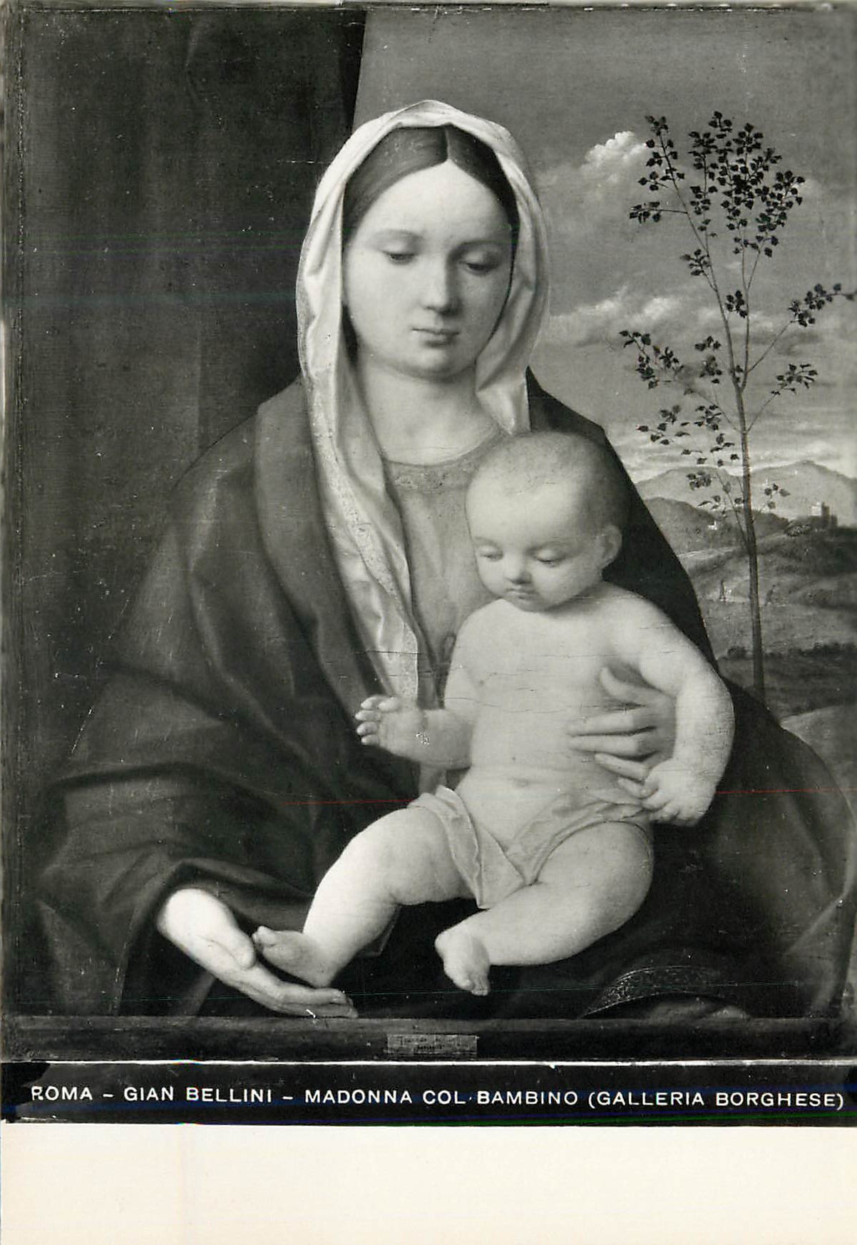 CPM Roma Gian Bellini Madonna Col Bambino (Galleria Borghese)