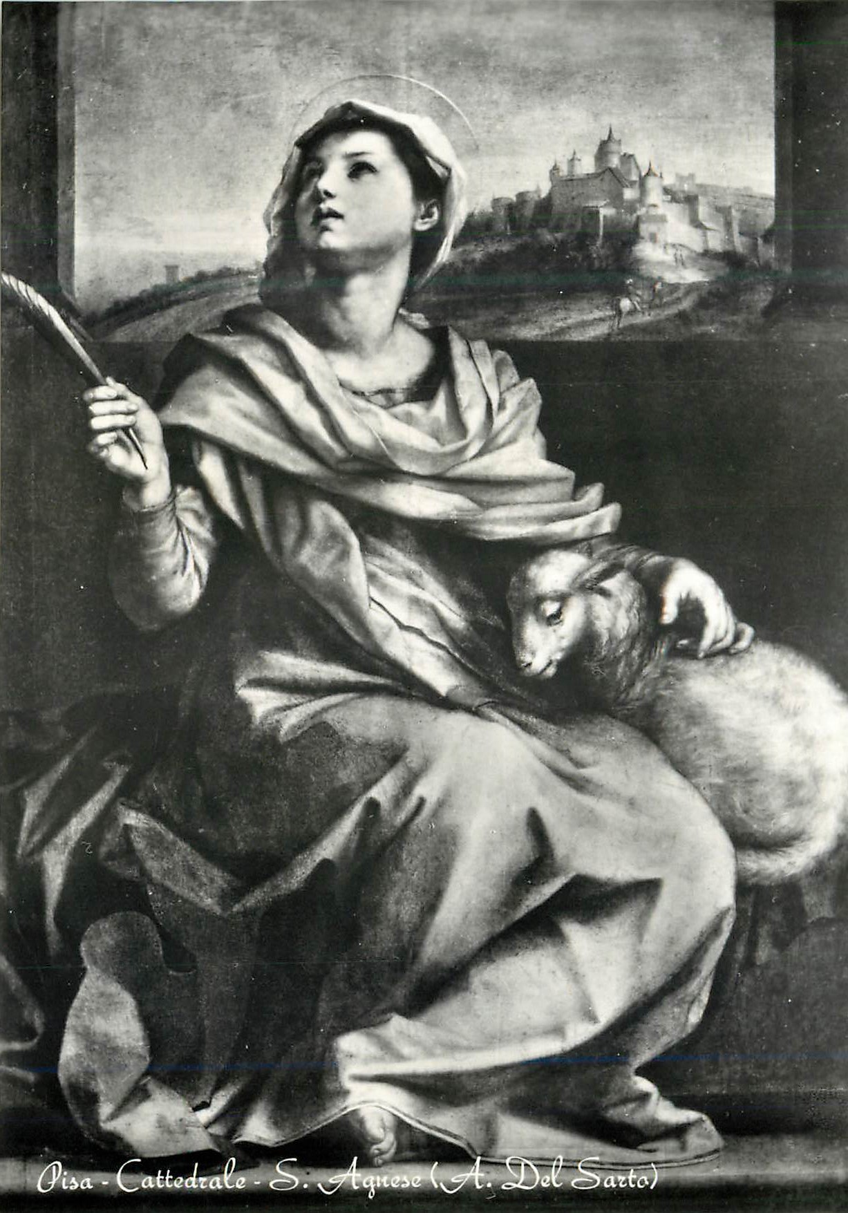 CPM Pisa Cattedrale