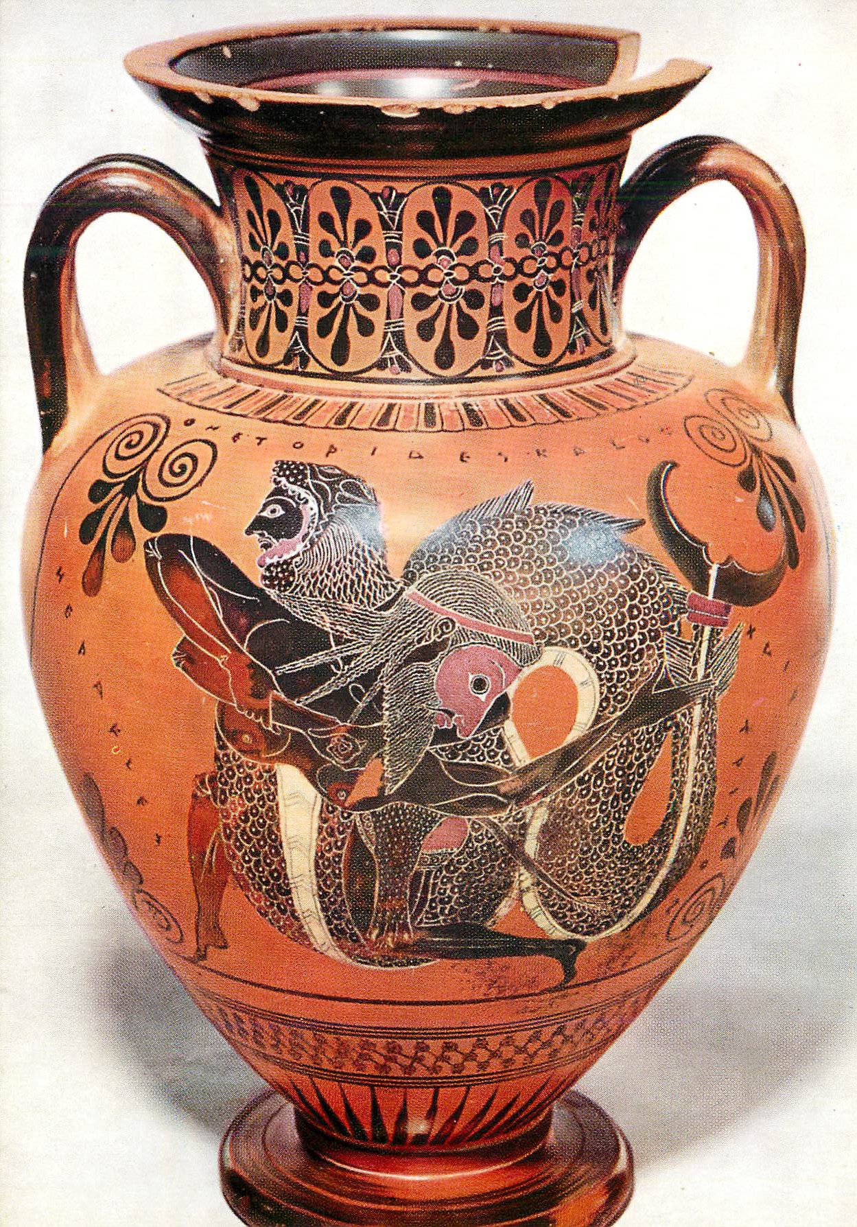 CPM Roma Museo Nazionale di Villa Giulia Corveteri Amphore Attique Ornee de Ligures Noires (VIe S av J C)