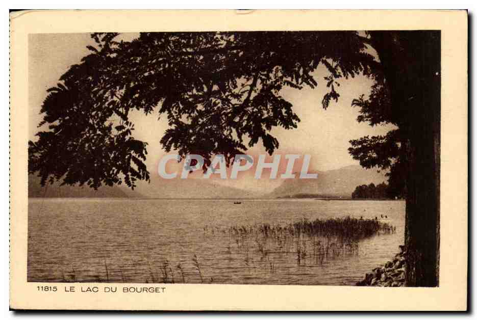 Lake Bourget — view from a tree — publisher BRAUN & Cie, n° 11815