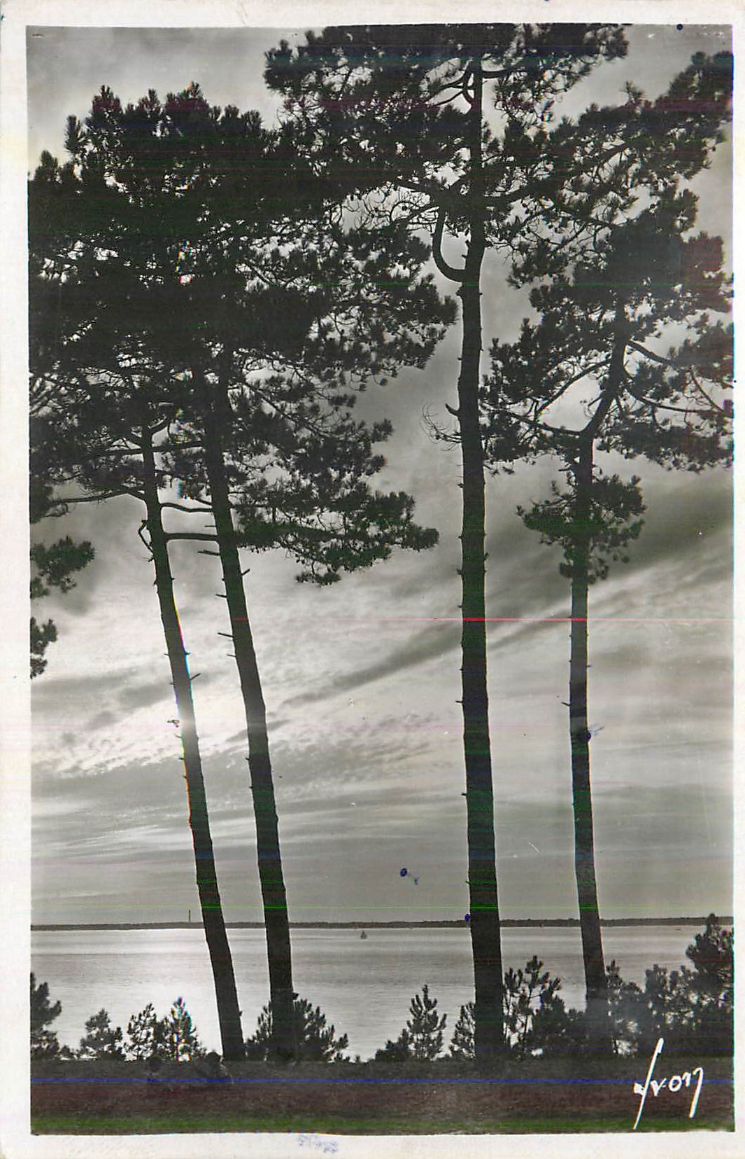 CPM Arcachon (Gironde) Coucher de Soleil sur le Bassin