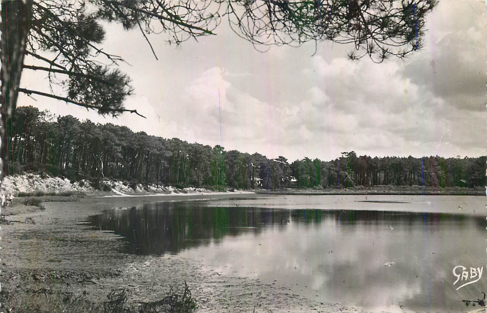 CPM Hossegor (Landes) Les Pins au Bord du Lac Marin