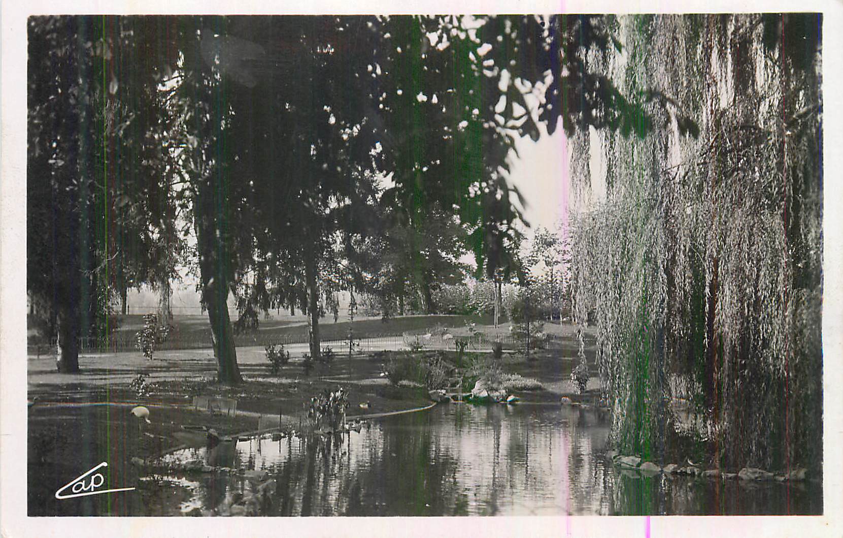 Jardin avec étang et saule pleureur — éditeur 'Cap' — n° de série non visible