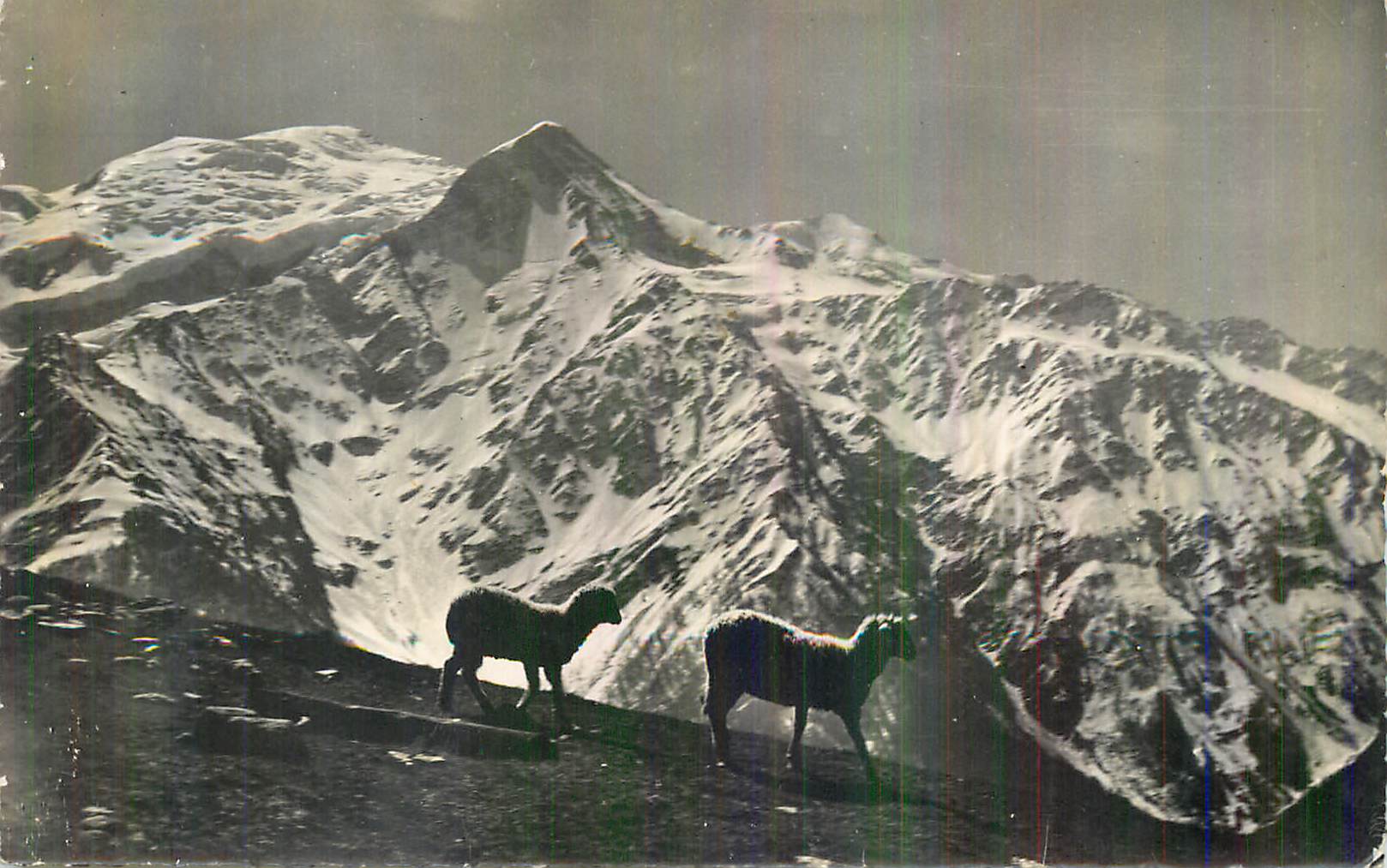 CPM Mont Blanc dans le Grandiose Decor