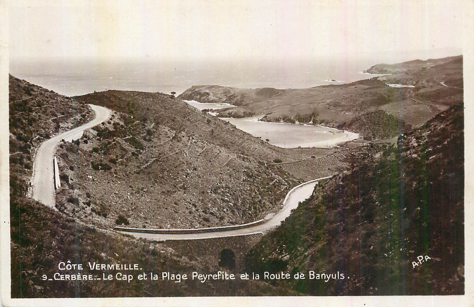 CPM Cerbere Cote Vermeille Le Cap et la Plage Peyrefite et la Route de Banyuls