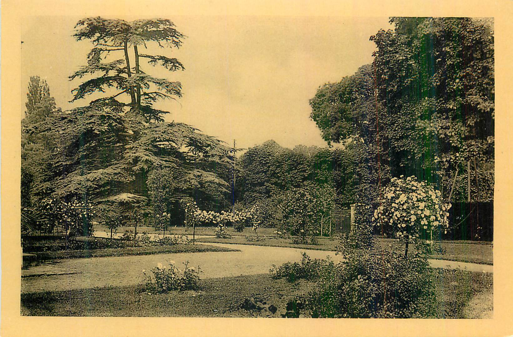 CPM Chateau de la Malmaison Roseraie et Cedre de Morengo