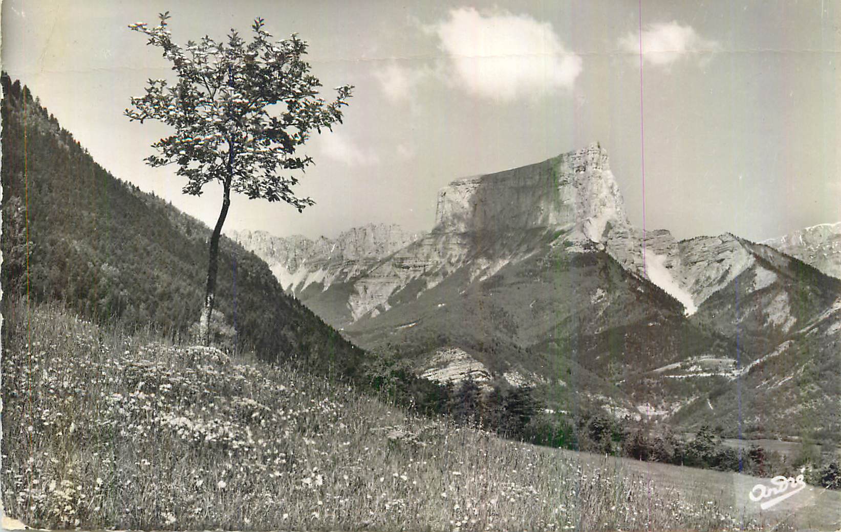 Ardèche — Ansicht der Berge mit einem einsamen Baum — André
