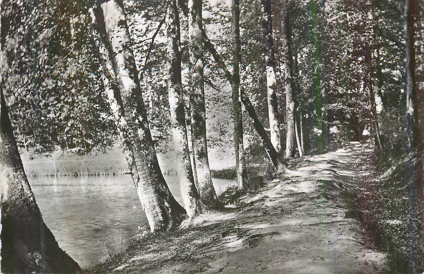CPM Foret de Belleme (Orne) La Herse