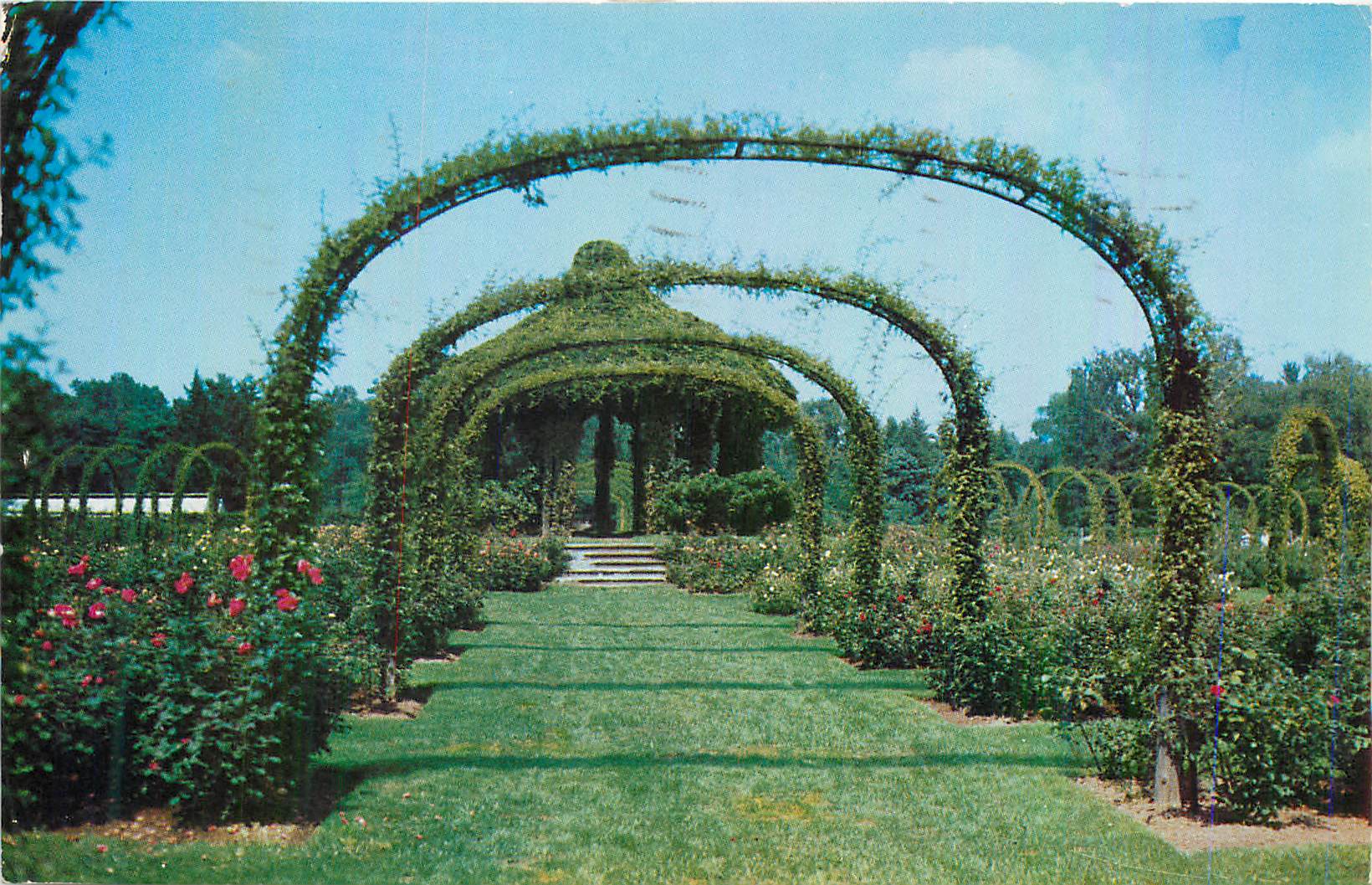 CPM Rose Gardens Elisabeth Park Hartford Conn During june and July