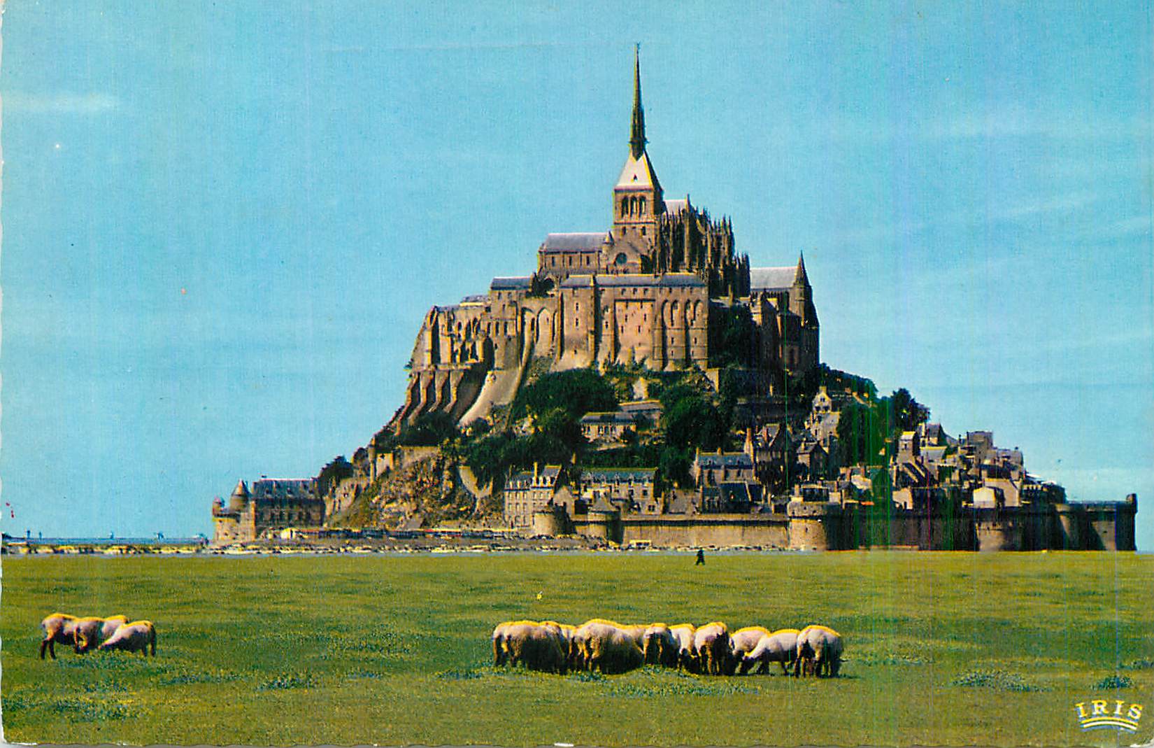 Mont Saint-Michel — vue panoramique avec moutons — éditeur IRIS