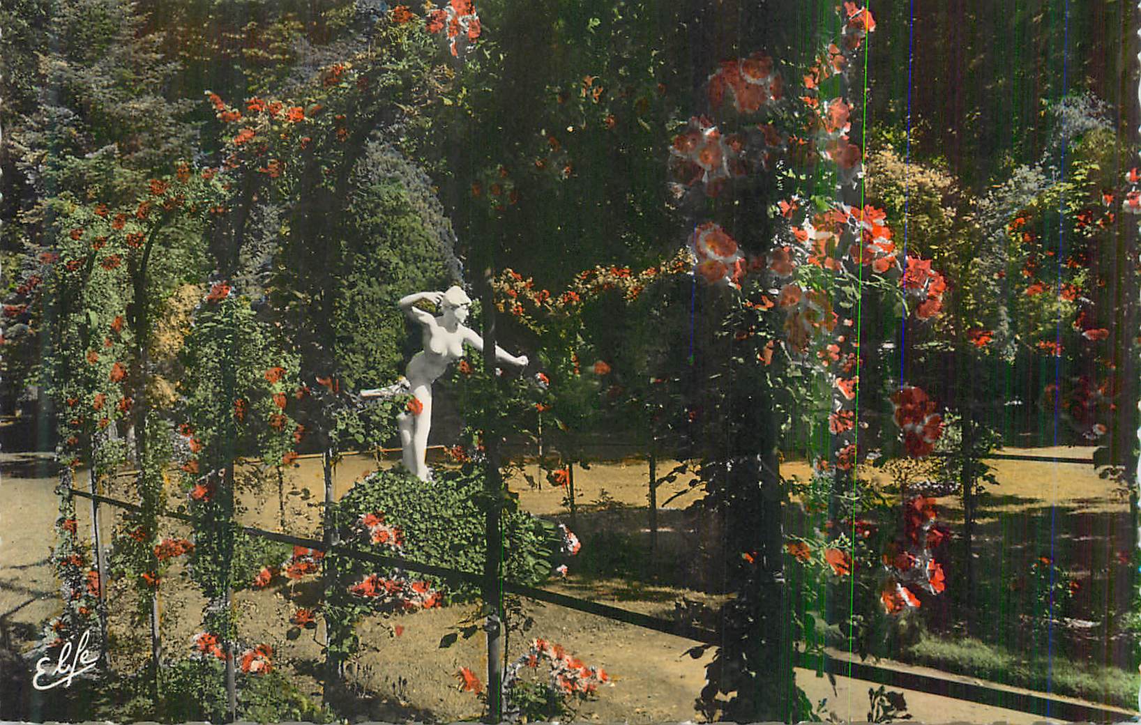 CPM Les Beaux Jardins de Toulouse La Roseraie du Jardin des Plantes