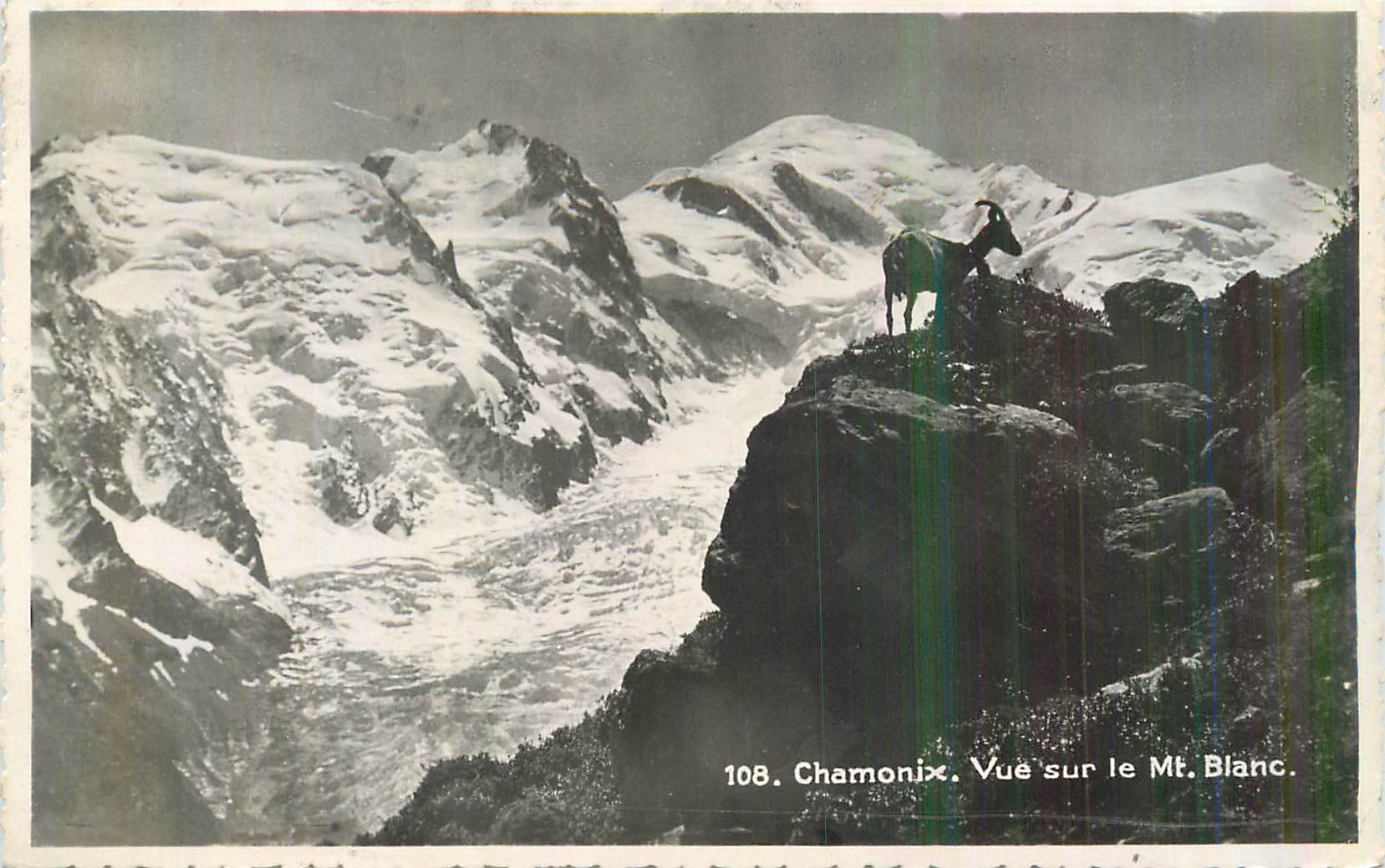 CPM Chamonix Vue sur le Mont Blanc Chevre
