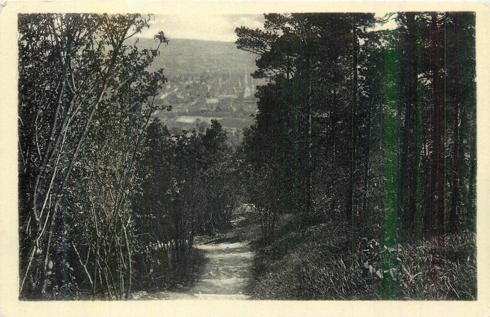 CPM Bar sur Aube Ascension de Sainte Germaine Le Sentier Rustique