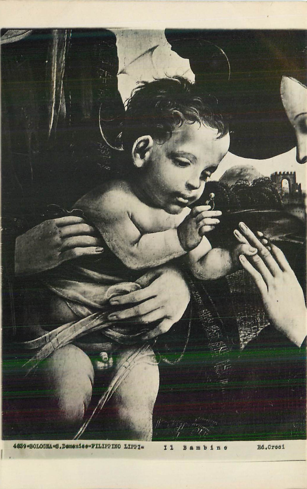CPM Bologna Domenico Filippino Lippi