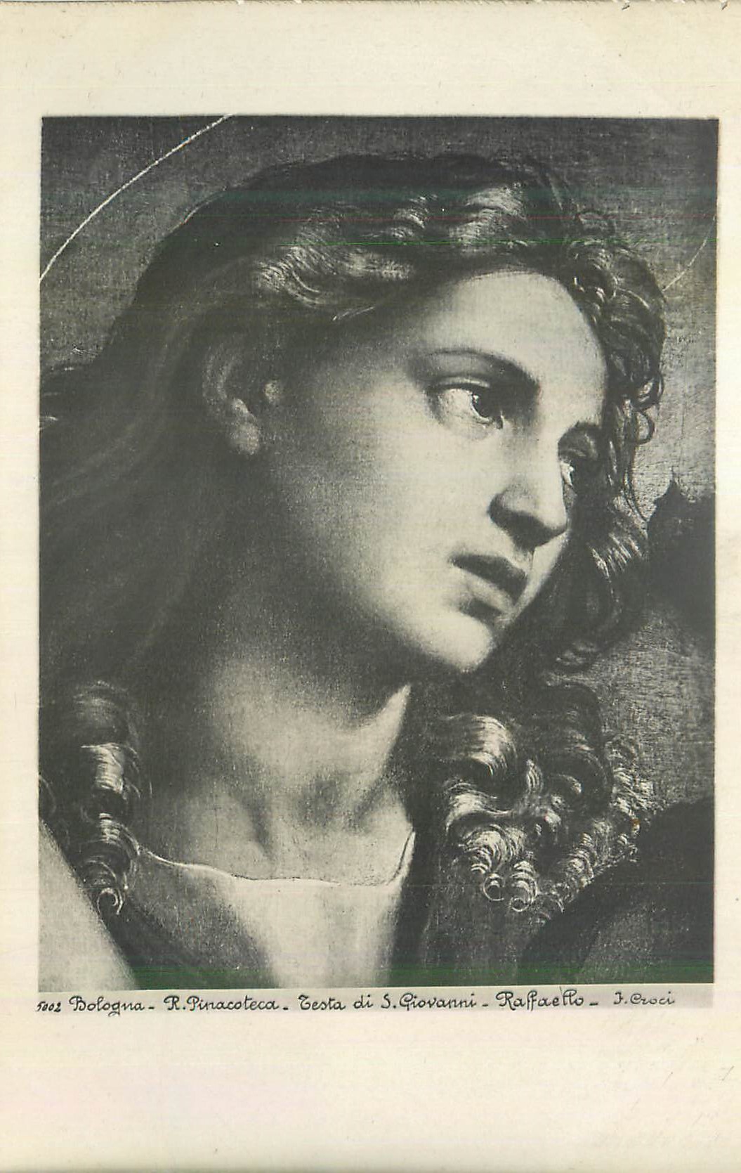 CPM Bologna Pinacoteca  Testa di S Giovanni Raffaello