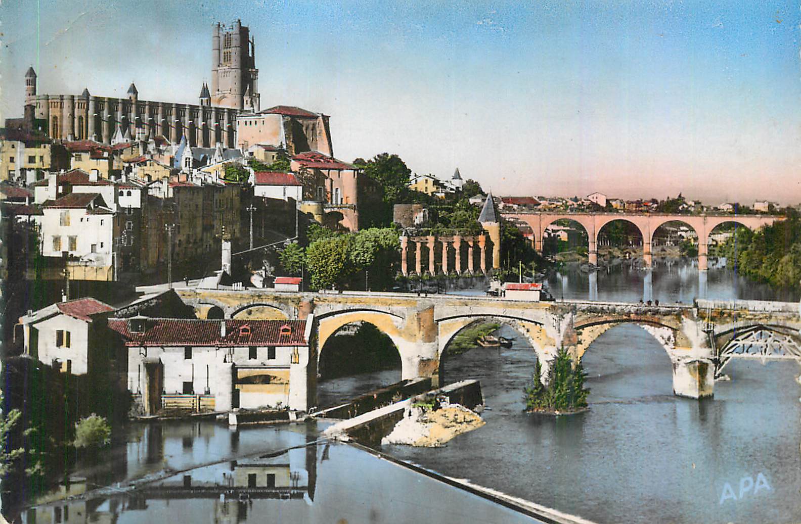 CPM Albi Tarn Vue sur le Tarn et la Basilique Ste Cecile