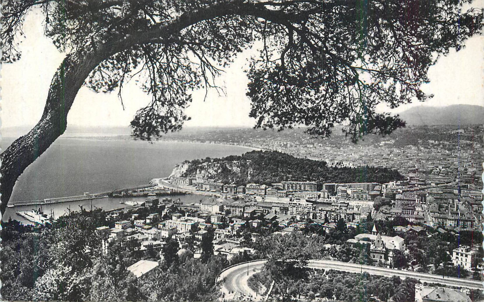 CPM Nice Vue Generale Prise du Mont Boron
