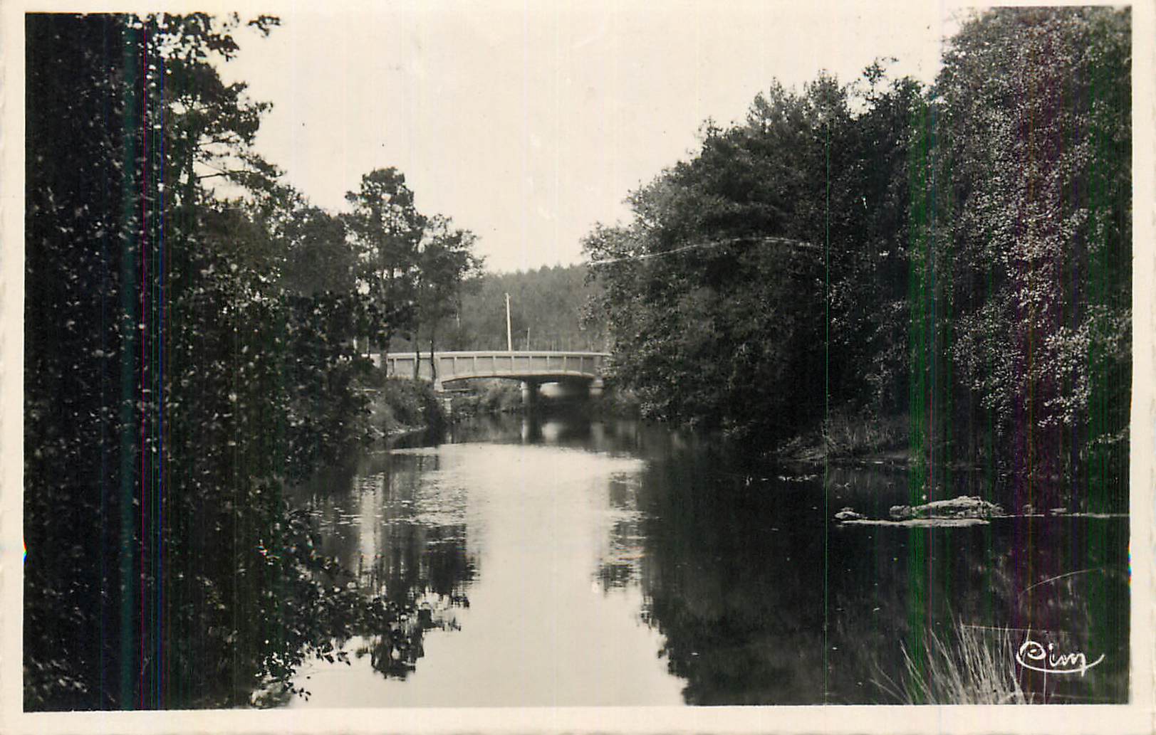 CPM Mimizan le Foret (Landes) Le Pont des Trounques