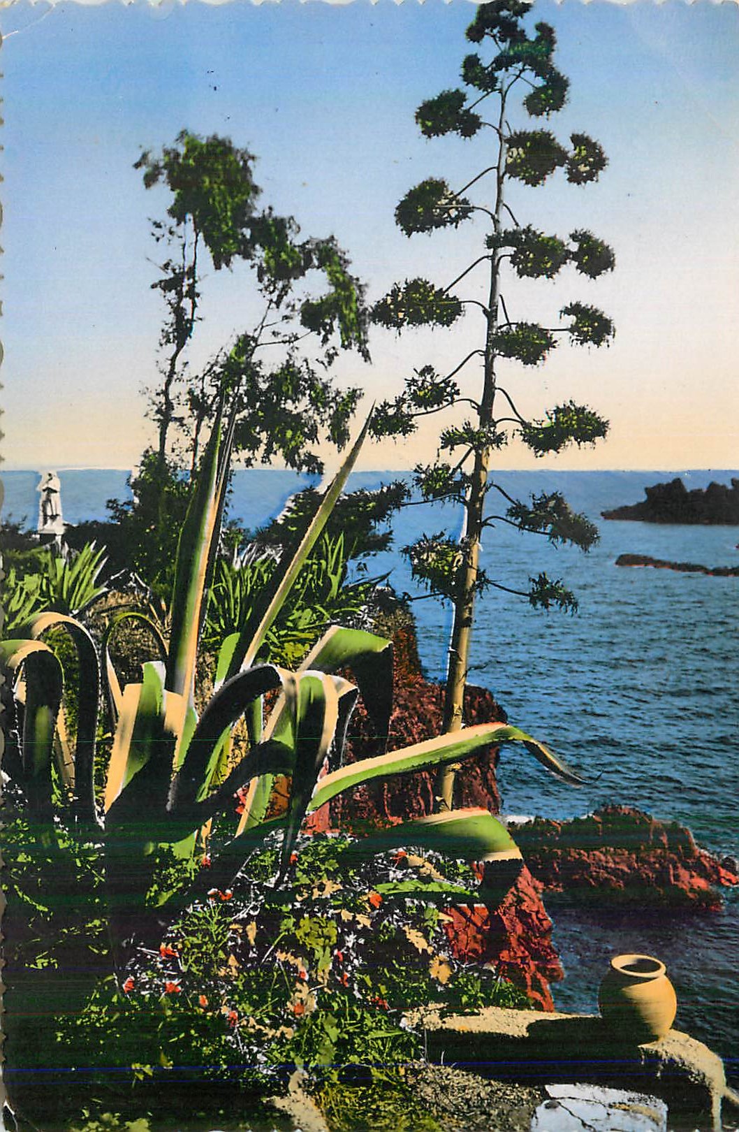 CPM La Cote d'Azur Un Coin du Paradis Terrestre