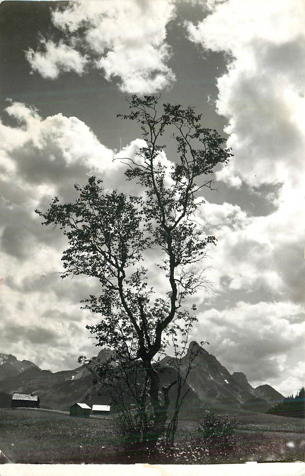 CPM Wolkenstimmung Schonried Rubli u Gumfluh