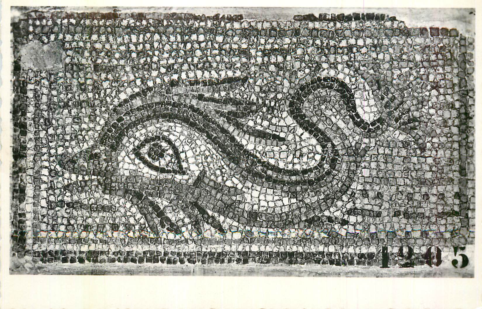 CPM Avenches la Romaine Fragment de la Mosaique des Vents