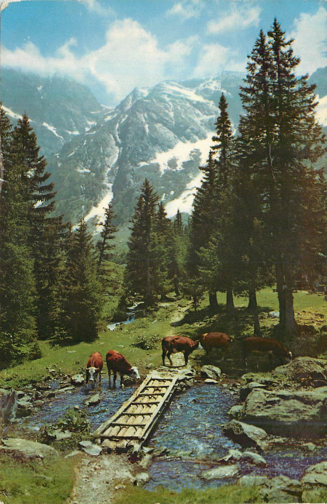 CPM Les Alpes en Couleurs Naturelles Sentier Pittoresque en Montagne