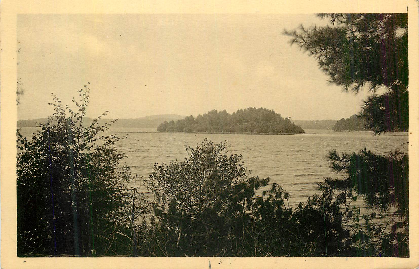 CPM En Morvan Lac des Settons Une Ile