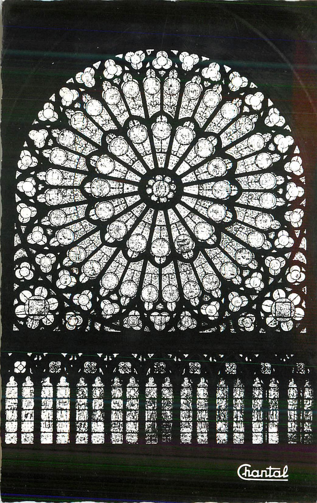 CPM Paris Notre Dame Grande Rosace Nord