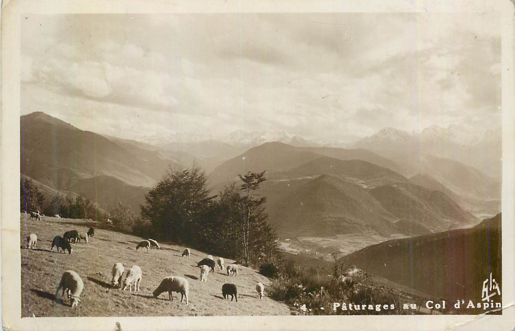 CPM les Pyrenees Col d'Aspin Paturages au Col d'Aspin