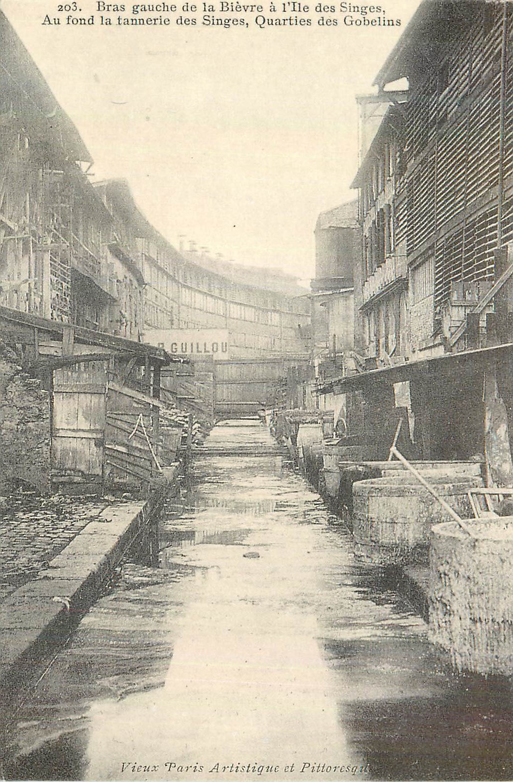 REPRO Bras Gauche de Bievre a l'Ile des Singes Paris