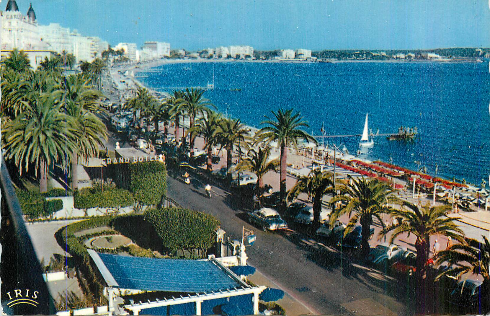 CPM Cannes (A M) Reflets de la Cote d'Azur Vue d'Ensemble de la Croisette