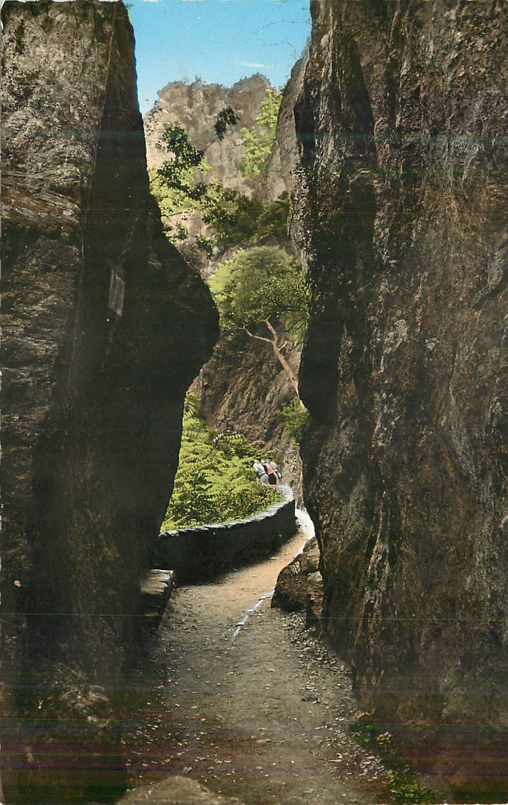 CPM Amelie les Bains (P O) Les Gorges du Mondony
