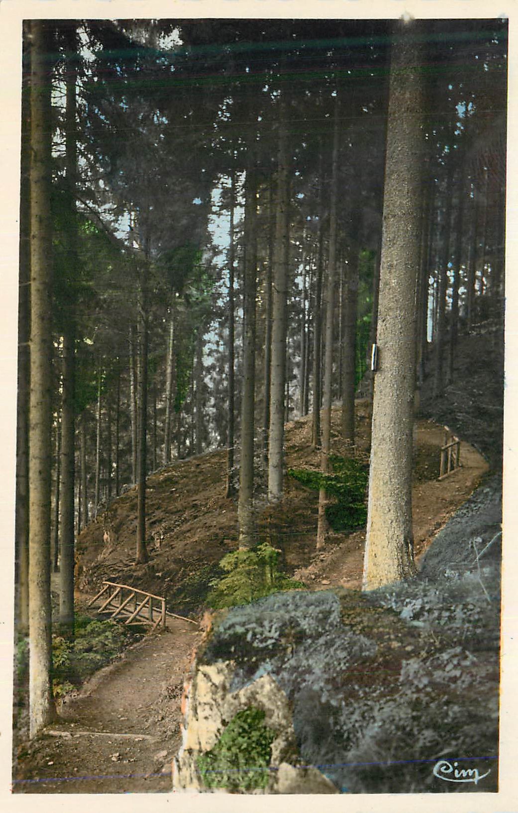 CPM Remiremont (Vosges) Sous Bois