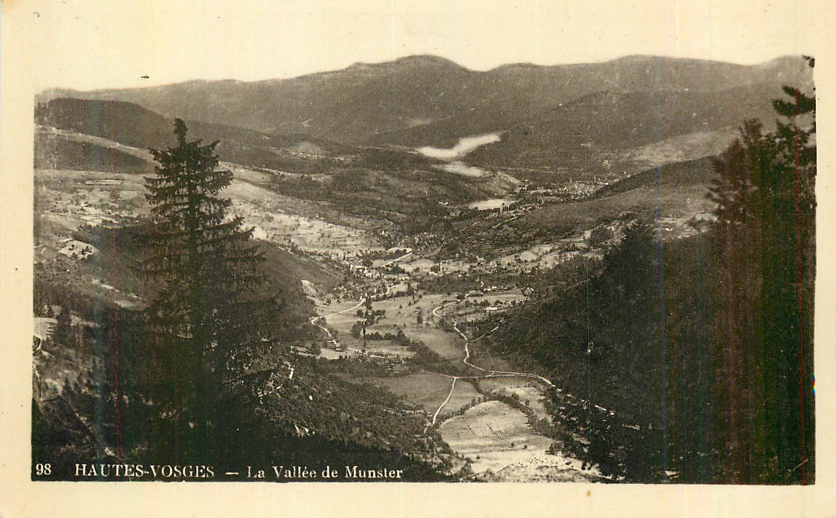 CPM Les Hautes Vosges La Vallee de Munster