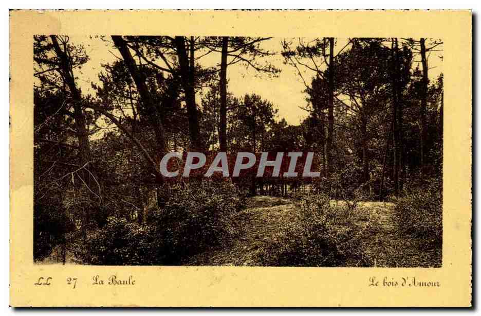 La Baule CPA Le bois d'amour