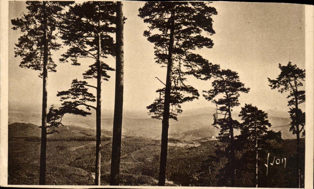 Andlau (Bas-Rhin) — La Forêt vue du Mont Ste-Odile — Les Éditions d'Art 'WON' Paris