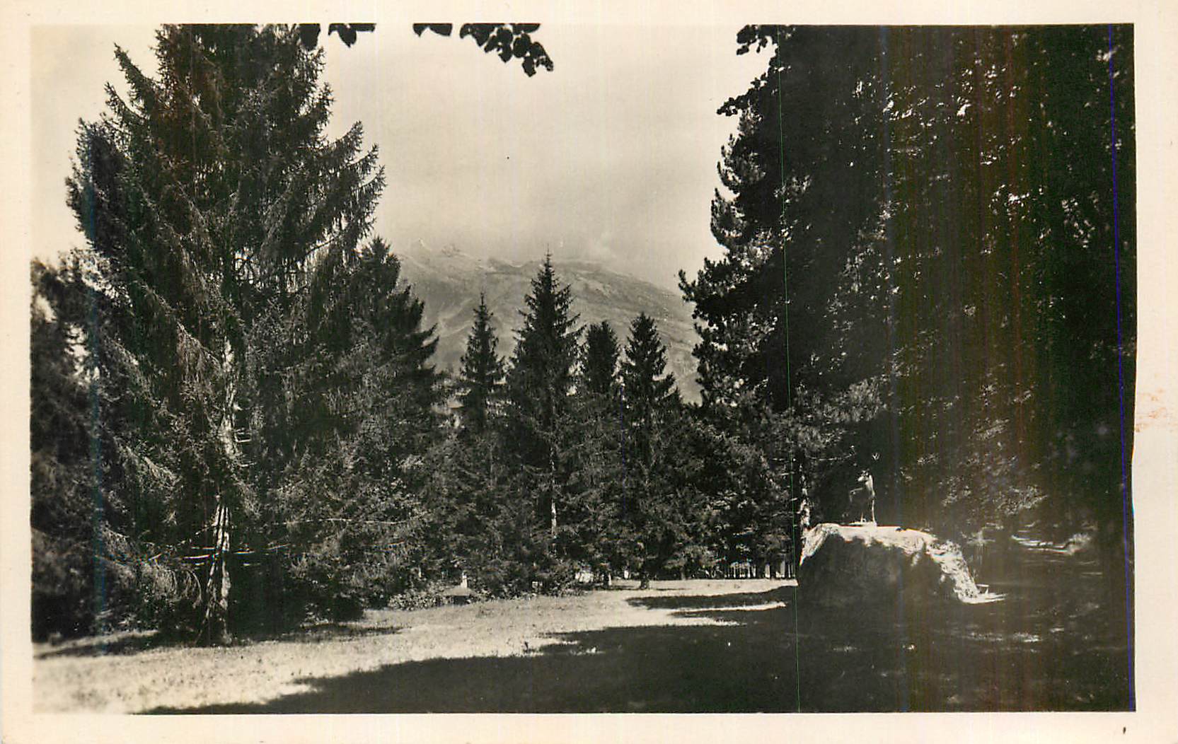 Forêt de montagne — vue de montagnes enneigées — éditeur inconnu