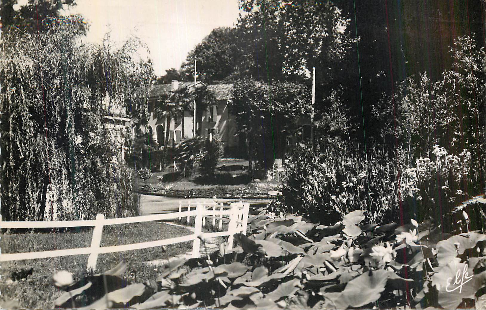 CPM Barbotan les Thermes Gers Bassin des Lotus et le parc