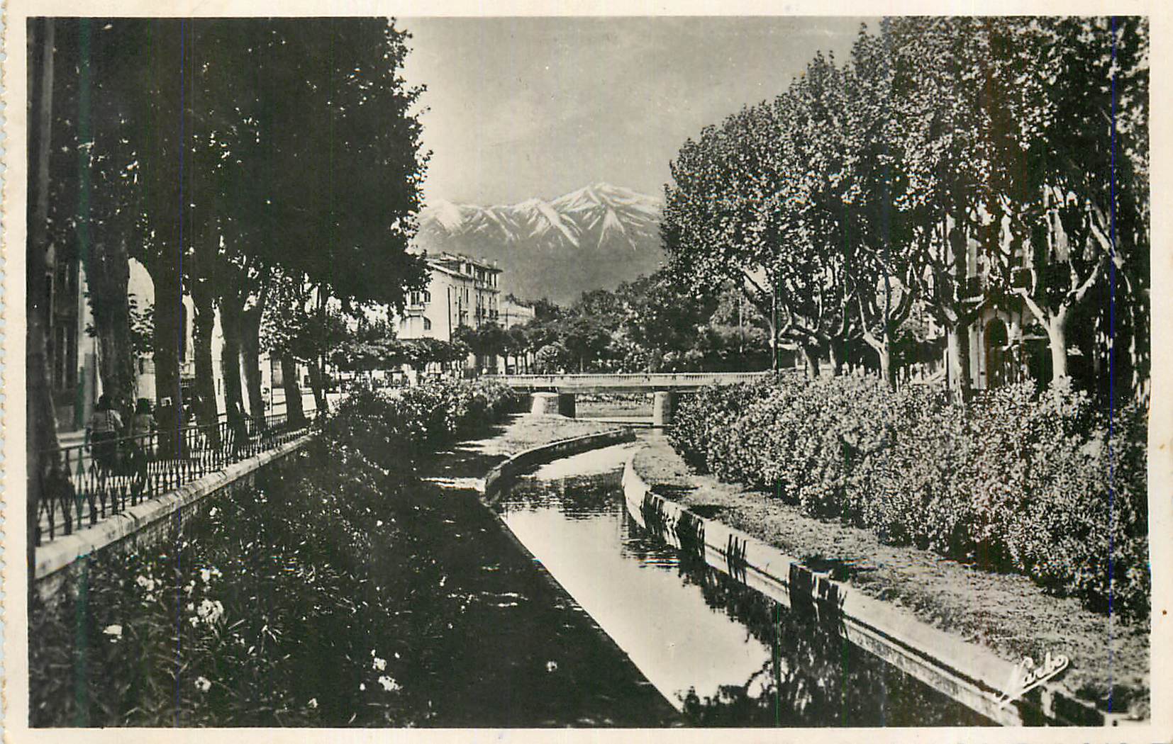CPM Perpignan Les Quais Fleurs de la Basse au fond le Canigou 