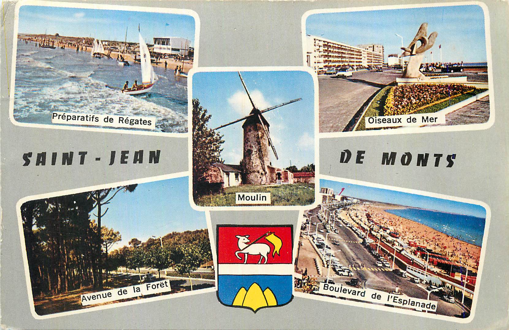 CPM Saint Jean de Monts Vendee Preparatifs de regates Oiseaux de mer Avenue de la foret Boulevard de l'esplanade Moulin