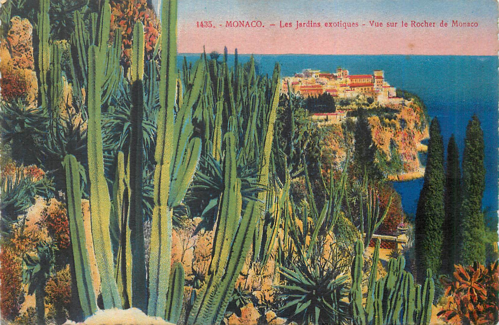 CPA Monaco Les jardins exotiques Vue sur le Rocher de Monaco 