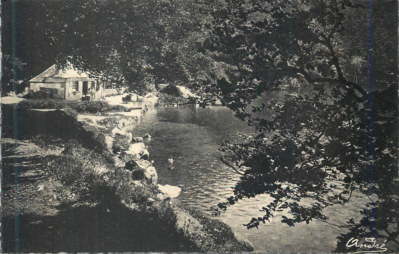 CPM Environs de Besse Les jolis bords du lac Pavin 