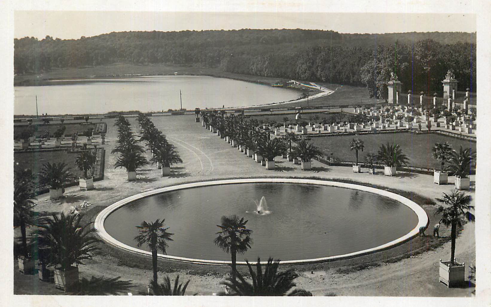 CPM Versailles L Orangerie et Piece d eau des Suisses 