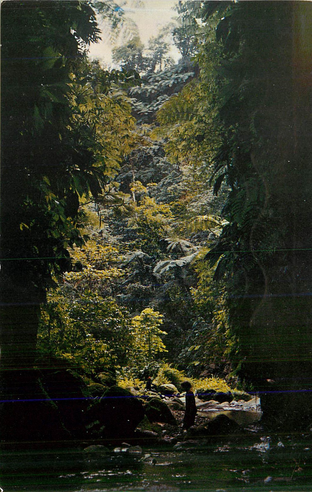 Gorges verdoyantes — vue de la rivière — éditeur non identifiable