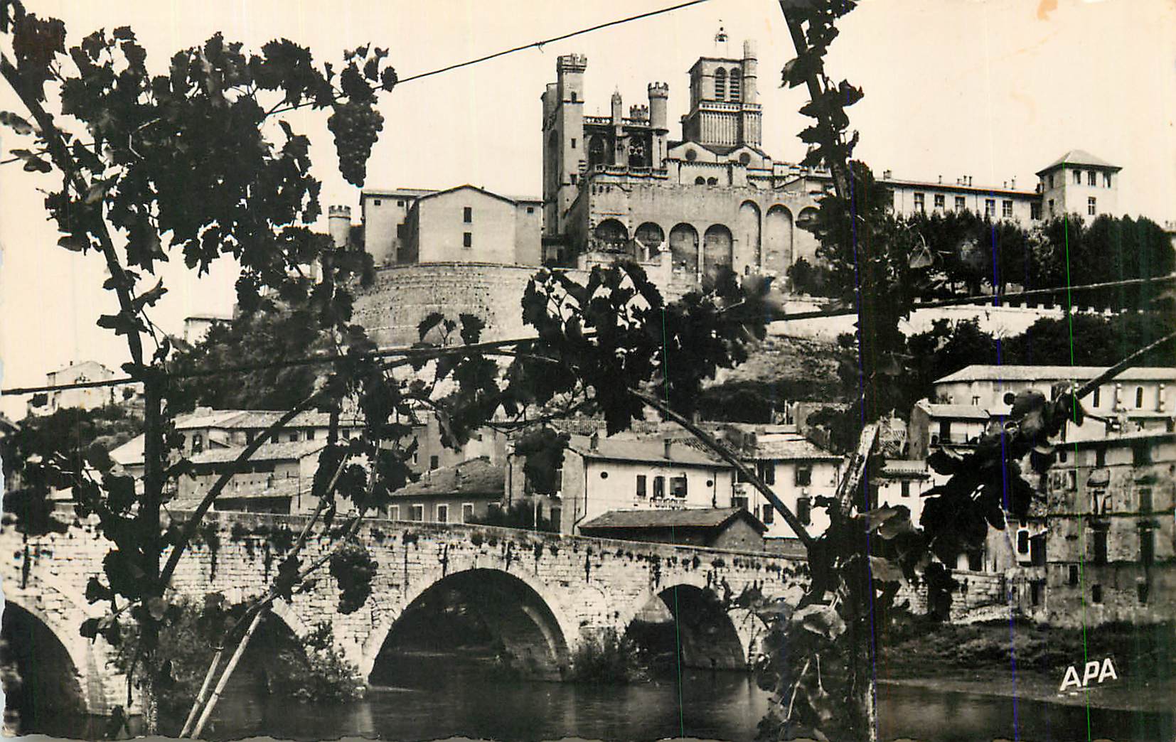 Alte Brücke und Kathedrale von Beaucaire — Ansicht von den Weinbergen — Verleger APA