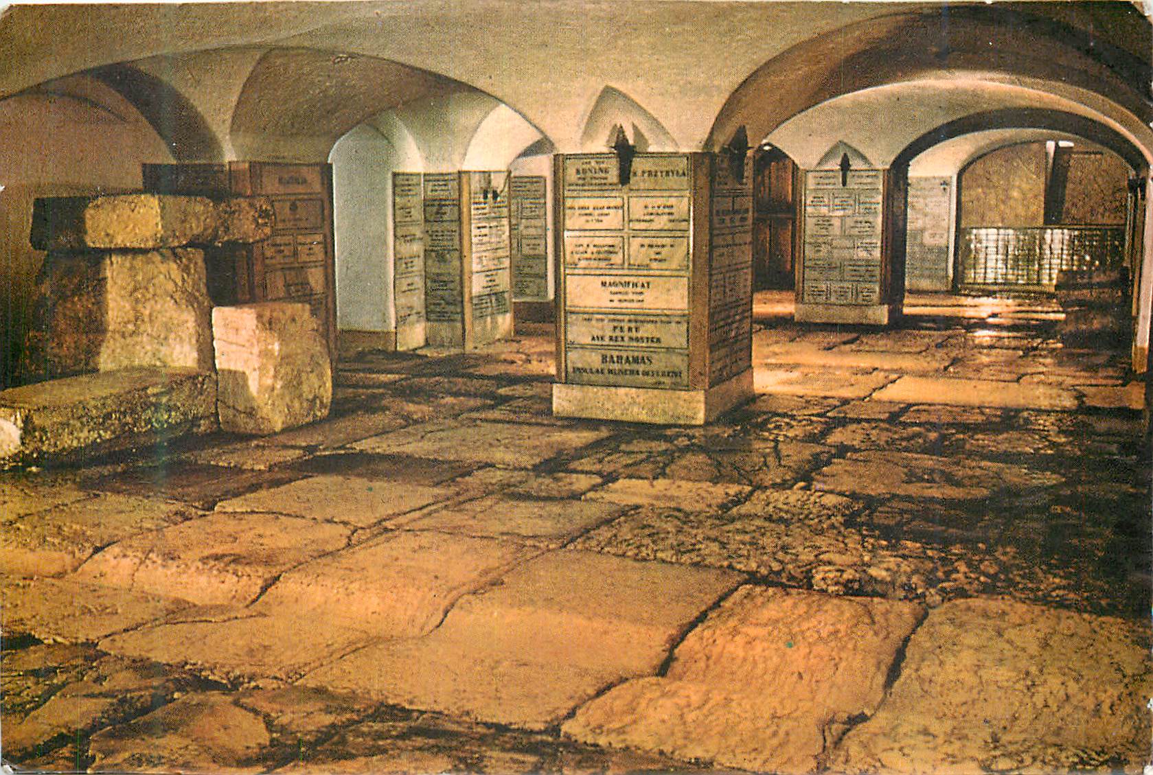 CPM Lithosrotos vue general 