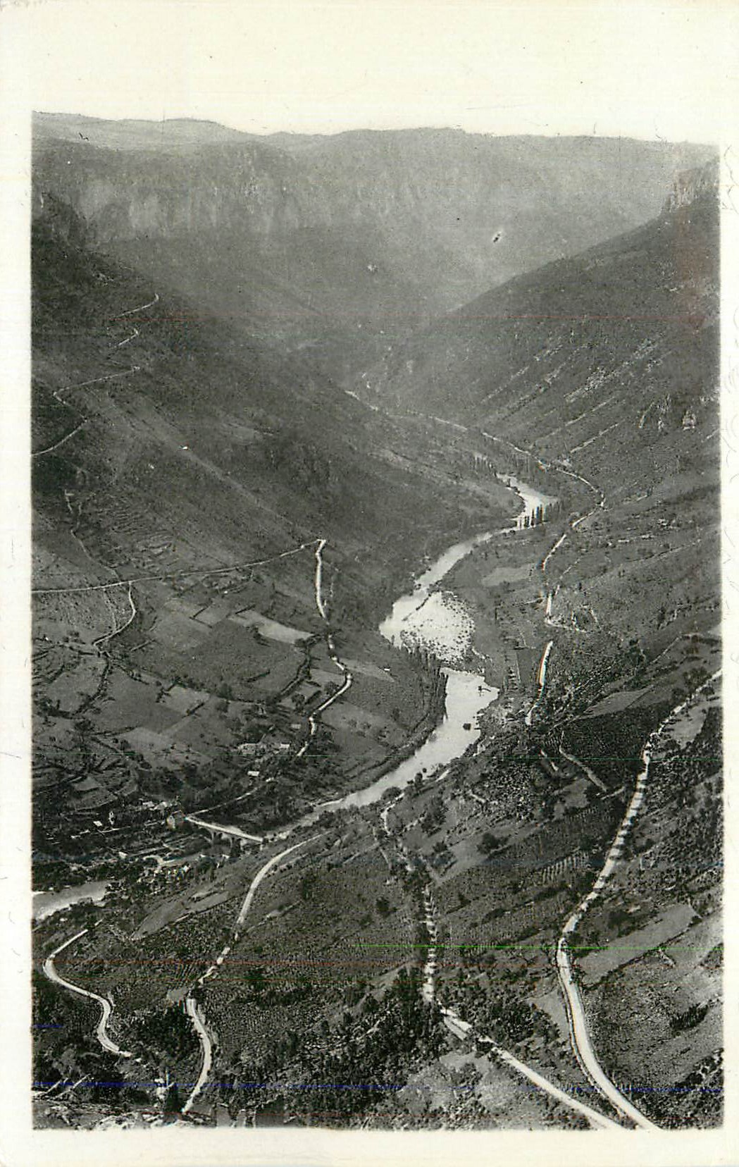 CPM Les Gorges du Tarn Les Vignes les Gorges Vues de la Route du point sublime 