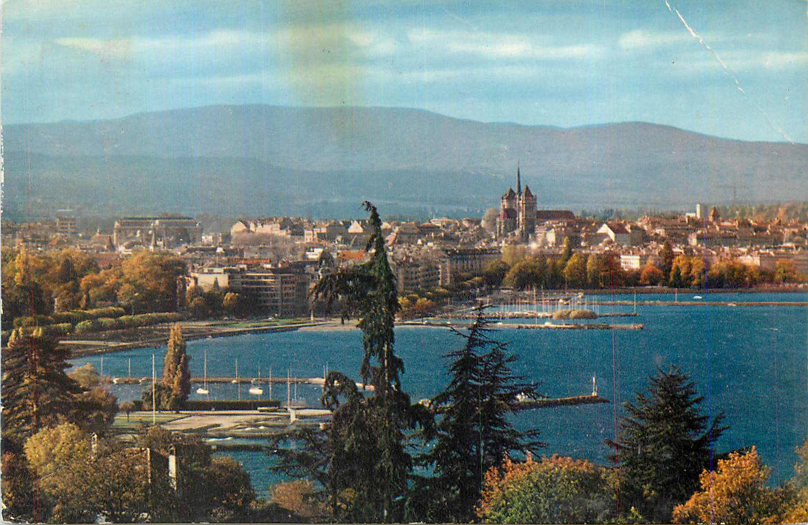 CPM Geneve La ville vue du Cologny 