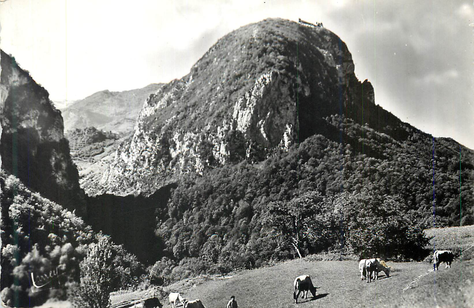 CPM Environs de Lavelanet Ariege Le chateau de Montsegur 