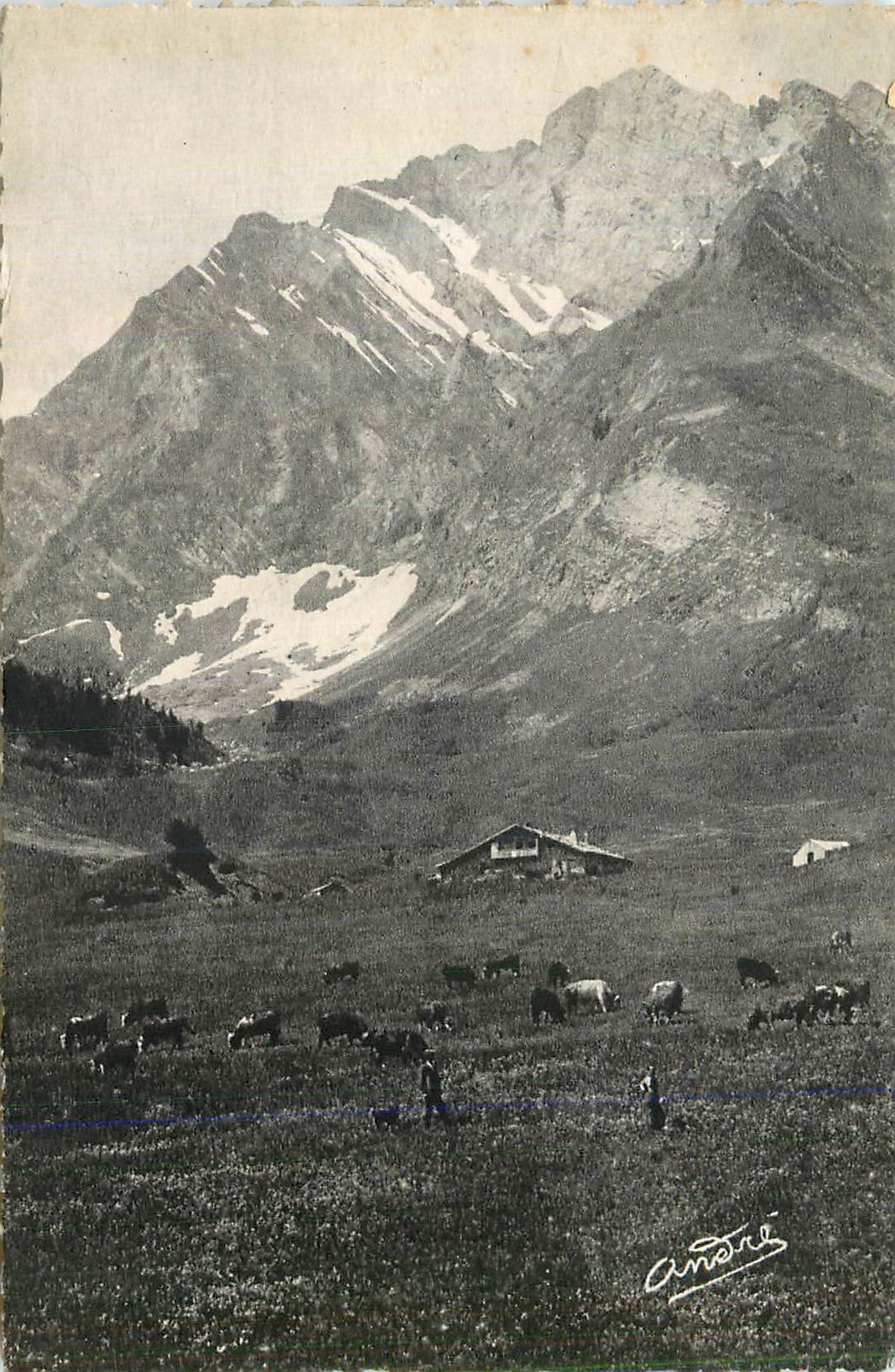 CPM Paysages Alpestres Paturage dans un vallon